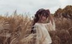 我的小乌龟想进入扇贝视频